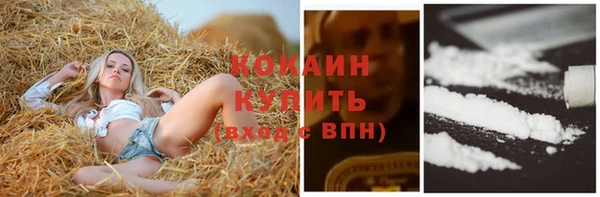 ПСИЛОЦИБИНОВЫЕ ГРИБЫ Елабуга
