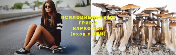 ПСИЛОЦИБИНОВЫЕ ГРИБЫ Елабуга