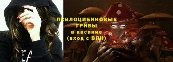 Альфа ПВП Ельня