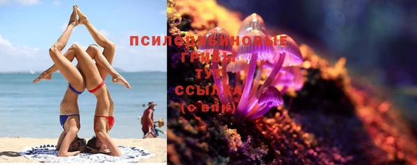 ПСИЛОЦИБИНОВЫЕ ГРИБЫ Елабуга