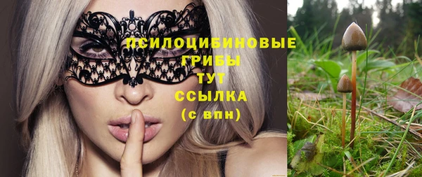 ПСИЛОЦИБИНОВЫЕ ГРИБЫ Елабуга