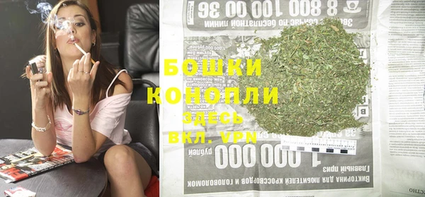 Альфа ПВП Ельня