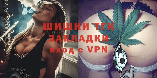 твердый Елизово
