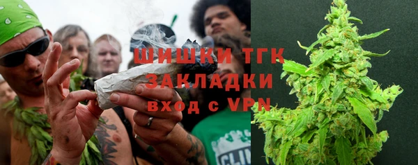 ПСИЛОЦИБИНОВЫЕ ГРИБЫ Елабуга