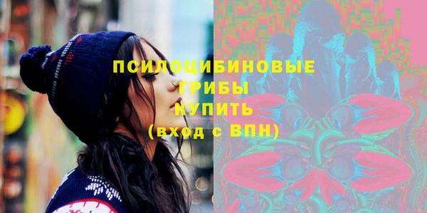 Альфа ПВП Ельня