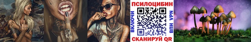 Галлюциногенные грибы Psilocybine cubensis  закладки  Черемхово 